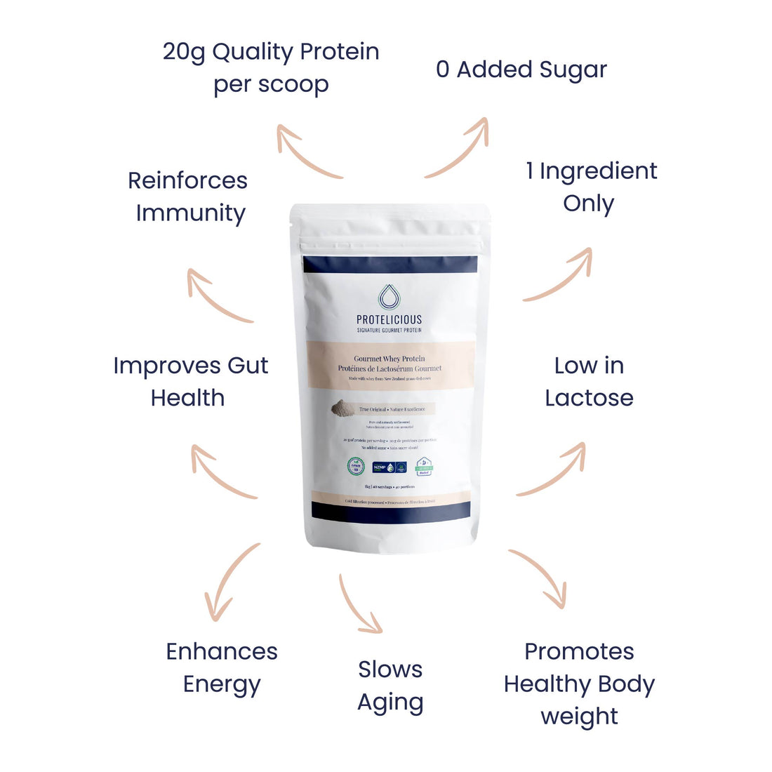 Gourmet Whey Protein – True Original | 1kg