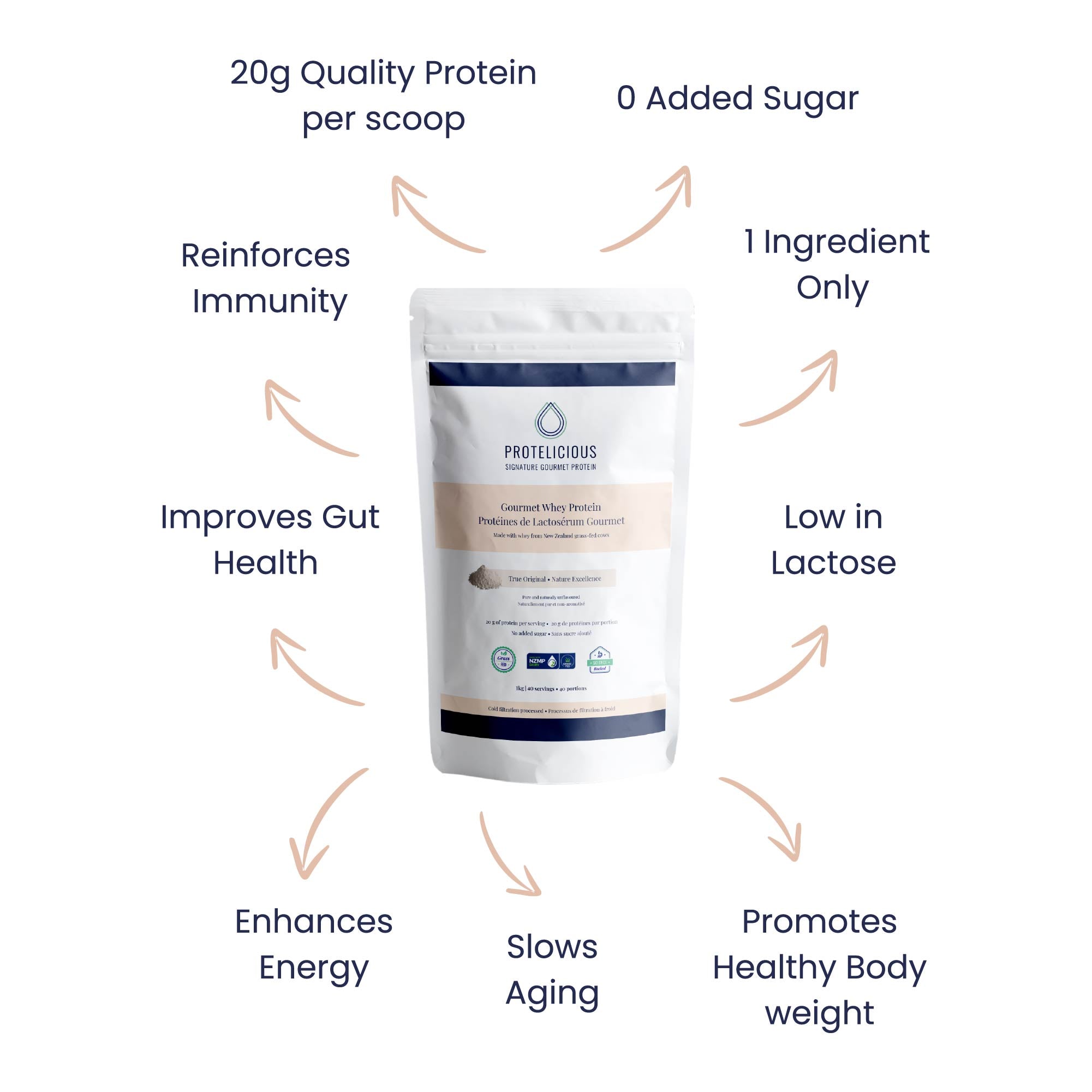 Gourmet Whey Protein – True Original | 500g